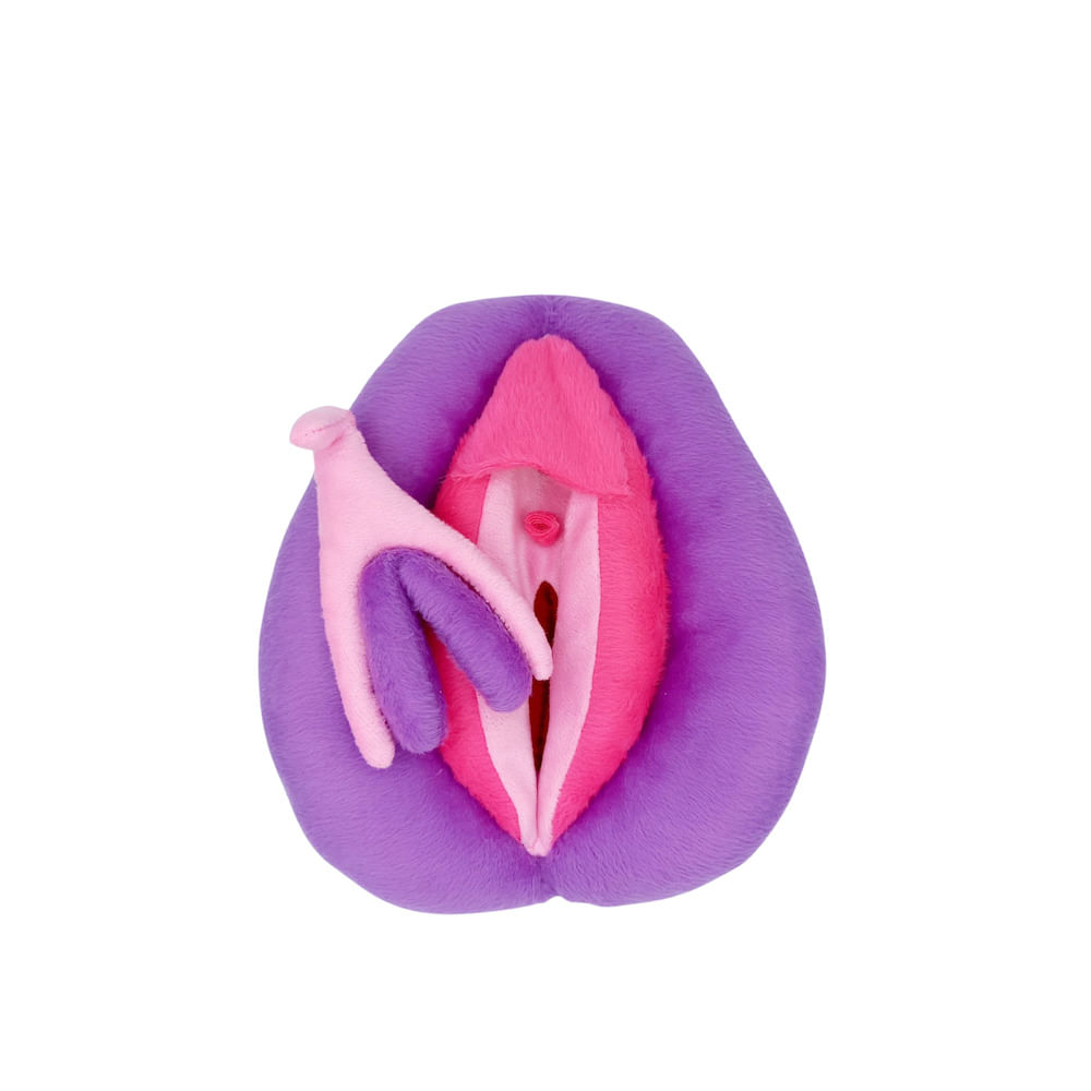 Vulva Didática 1