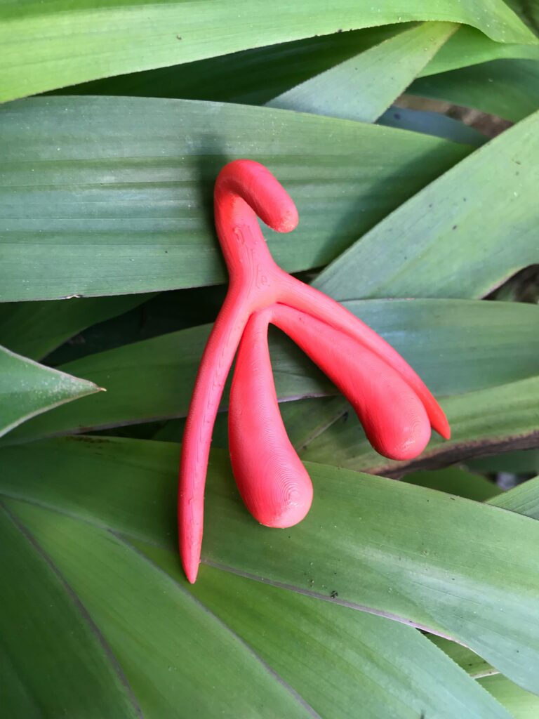 modelo-clitoris-em-3D
