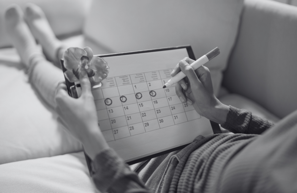 fases do ciclo menstrual
